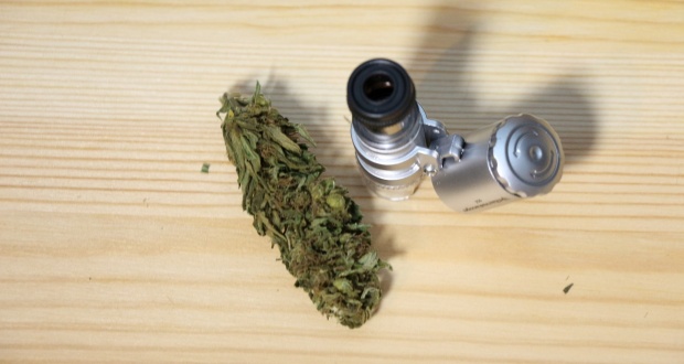 Sildenafil und marihuana