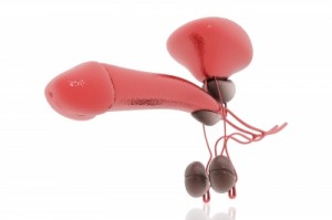 Wirkung von halber viagra